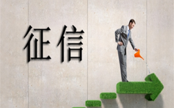 个人征信黑了或花了真的能洗白吗？